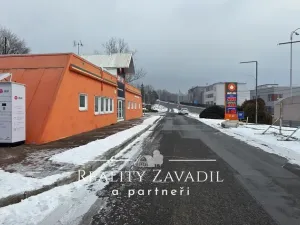 Pronájem obchodního prostoru, Ostrava, Těšínská, 100 m2