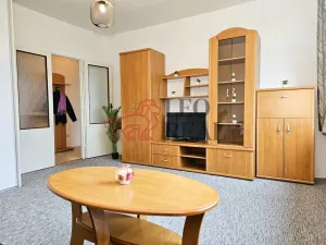 Pronájem bytu 1+1, Nový Jičín, Riegrova, 39 m2