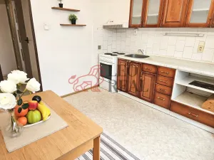 Pronájem bytu 1+1, Nový Jičín, Riegrova, 39 m2