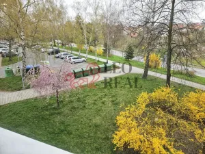 Pronájem bytu 1+1, Nový Jičín, Riegrova, 39 m2