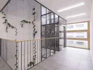 Pronájem bytu 2+kk, Praha, Univerzitní, 51 m2