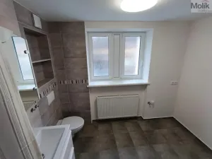 Pronájem bytu 2+1, Most, Prokopa Holého, 50 m2