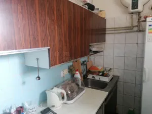 Pronájem restaurace, Opolany - Kanín, 100 m2