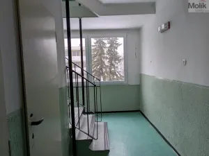 Pronájem bytu 1+kk, Bílina - Pražské Předměstí, Aléská, 28 m2