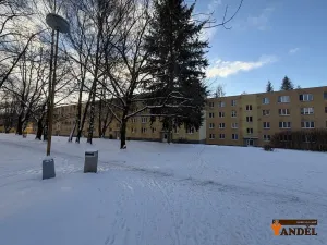 Pronájem bytu 1+1, Havířov, Okrajová, 35 m2