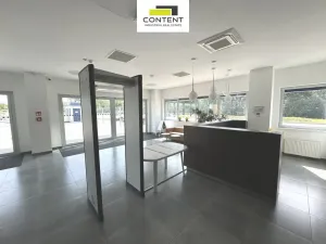 Pronájem skladu, Ostrov - Dolní Žďár, 4753 m2