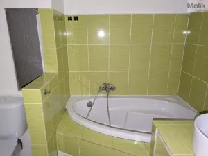 Pronájem bytu 2+1, Bílina - Teplické Předměstí, M. Švabinského, 56 m2