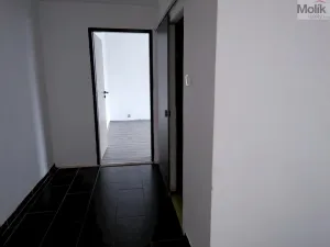 Pronájem bytu 2+1, Bílina - Teplické Předměstí, M. Švabinského, 56 m2