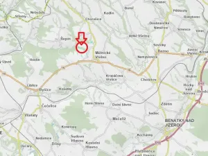 Prodej lesa, Mělnické Vtelno, 4059 m2