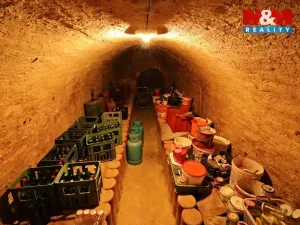 Prodej chalupy, Bořetice, 240 m2