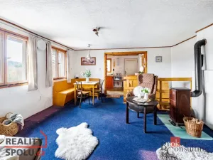 Prodej chaty, Týn nad Vltavou - Hněvkovice na levém břehu Vltavy, 80 m2