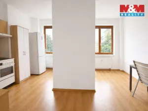 Prodej bytu 1+1, Písek - Budějovické Předměstí, Budějovická, 55 m2