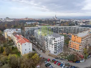 Pronájem bytu 2+kk, Olomouc, Šantova, 68 m2