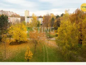 Prodej bytu 1+1, Ostrava, Josefa Kotase, 34 m2