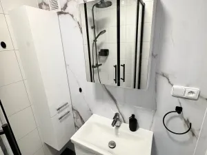 Pronájem bytu 3+1, Karviná, Divišova, 57 m2