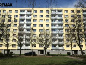 Pronájem bytu 1+1, Hradec Králové - Nový Hradec Králové, Mandysova, 35 m2