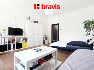 Pronájem bytu 1+1, Brno, Žižkova, 53 m2