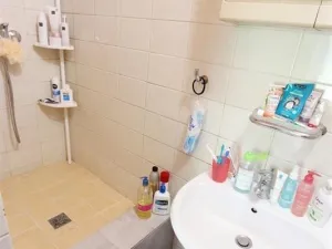 Pronájem bytu 1+1, Brno, Žižkova, 53 m2