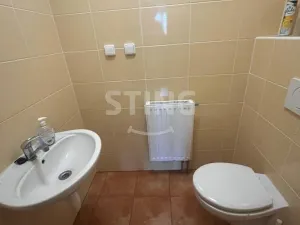 Pronájem skladu, Mankovice, 750 m2