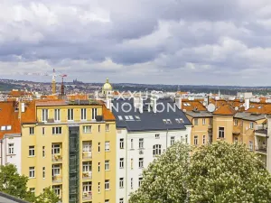 Pronájem bytu 4+1, Praha - Vinohrady, Ibsenova, 282 m2