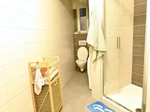 Pronájem bytu 2+kk, Praha - Vinohrady, Polská, 45 m2