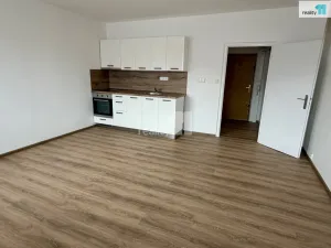Pronájem bytu 1+kk, Plzeň - Severní Předměstí, Hodonínská, 31 m2