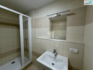 Pronájem bytu 1+kk, Plzeň - Severní Předměstí, Hodonínská, 31 m2