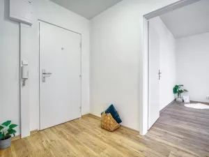 Pronájem bytu 2+1, Jirkov, Hornická, 51 m2