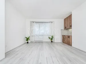 Prodej bytu 1+kk, Kralupy nad Vltavou - Lobeček, nám. Mládežníků, 27 m2