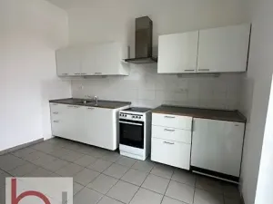 Pronájem bytu 1+1, České Budějovice, Matice školské, 38 m2