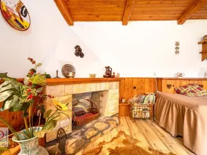 Prodej chaty, Dobronice u Bechyně, 86 m2