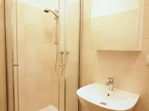 Pronájem bytu 1+kk, Brno, Francouzská, 21 m2