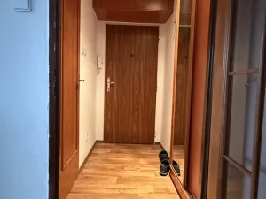 Pronájem bytu 1+kk, Havířov, Karolíny Světlé, 24 m2