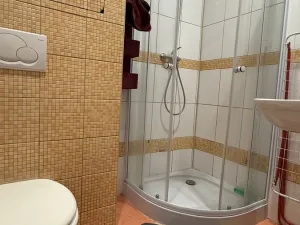 Pronájem bytu 1+kk, Havířov, Karolíny Světlé, 24 m2