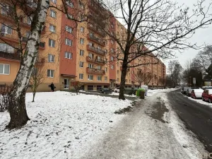 Pronájem bytu 1+kk, Havířov, Karolíny Světlé, 24 m2