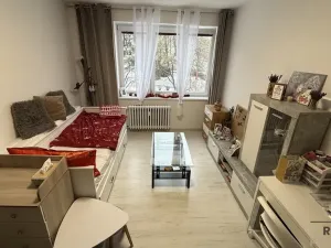 Pronájem bytu 1+1, Havířov, 17. listopadu, 36 m2