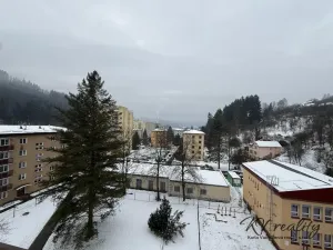 Prodej bytu 2+1, Vsetín, Luh, 54 m2