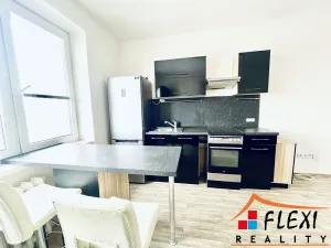 Pronájem bytu 3+kk, Ostrava, Aleše Hrdličky, 49 m2