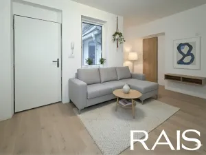 Prodej bytu 1+1, Brno, 33 m2