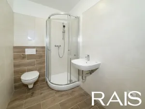 Prodej bytu 1+1, Brno, 33 m2