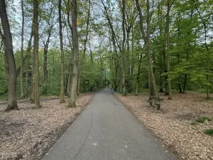 Pronájem bytu 3+1, Praha - Chodov, Láskova, 71 m2