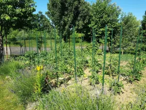 Prodej zahrady, Kroměříž, Kaplanova, 529 m2