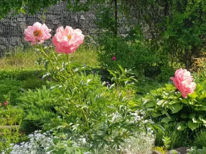 Prodej zahrady, Kroměříž, Kaplanova, 529 m2