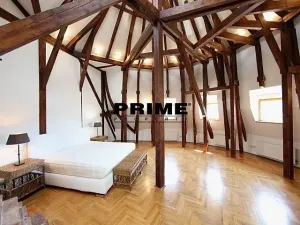 Pronájem bytu 4+1, Praha - Vinohrady, Ibsenova, 282 m2