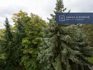 Pronájem bytu 3+1, Brno, Jindřichova, 77 m2