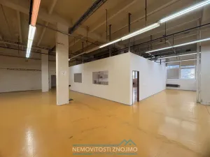 Pronájem výrobních prostor, Znojmo, Průmyslová, 450 m2