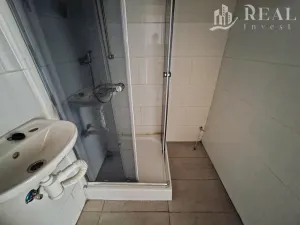 Prodej bytu 2+1, Bílina - Teplické Předměstí, M. Švabinského, 55 m2