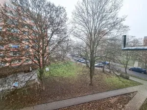 Prodej bytu 2+1, Bílina - Teplické Předměstí, M. Švabinského, 55 m2