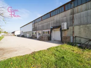 Prodej výrobních prostor, Těmice, 2178 m2