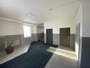 Pronájem ubytování, Dalovice, Botanická, 1400 m2